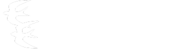 Союз женщин Чувашии : Brand Short Description Type Here.